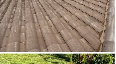 Clean tile roof